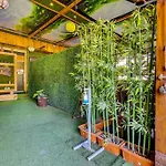 Townhouse Oak Hotel Chaitanya Executive Near Fun Time Multiplex